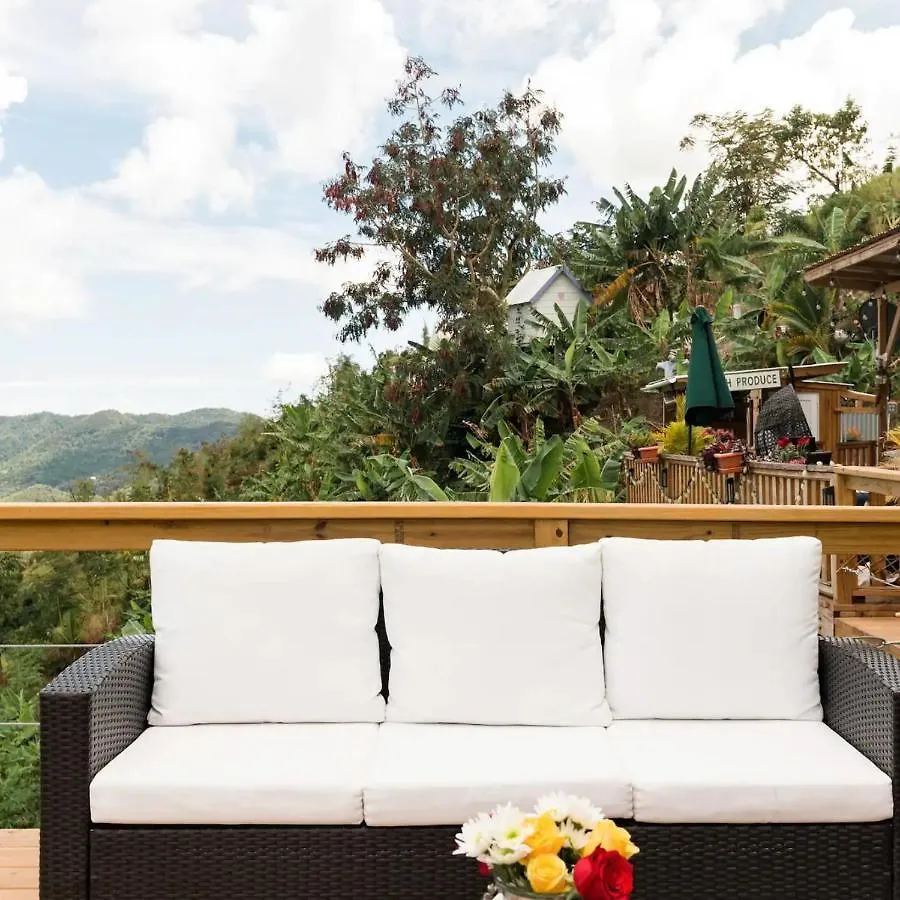 Villa Vacacional En Puerto Rico Para Parejas Villalba